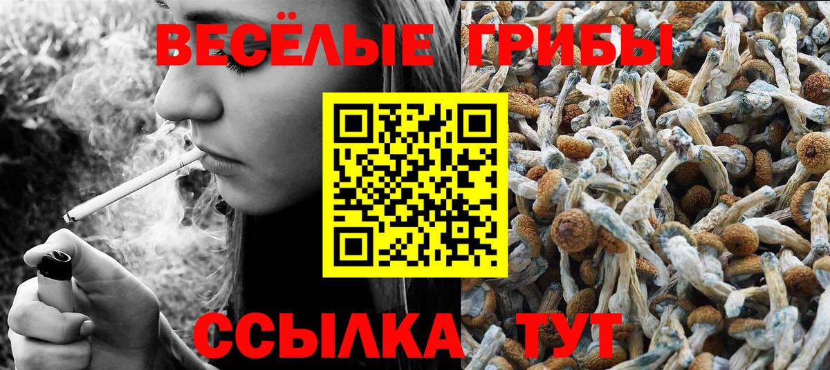 Борисоглебск  Галлюциногенные грибы GOLDEN TEACHER  Галлюциногенные грибы Magic Shrooms  Вход с VPN 